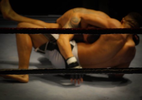 As a result of the new ‘Boxing Bill,’ members of Congress are authorized to use force on each other, as depicted in this mixed martial arts match, to determine the fate of proposed laws (skitterphoto.com).